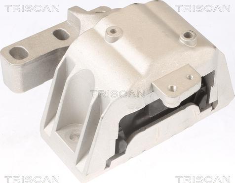 Triscan 8505 29107 - Окачване, двигател vvparts.bg