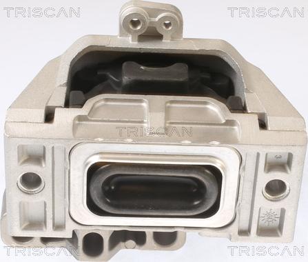 Triscan 8505 29115 - Окачване, двигател vvparts.bg