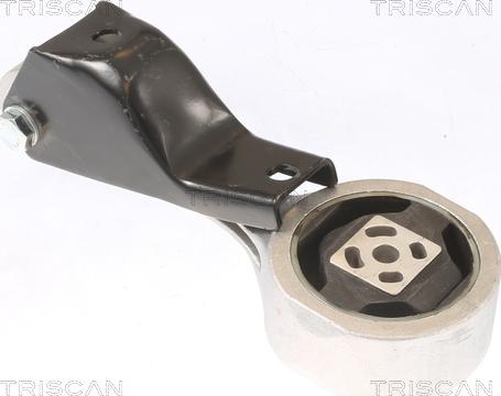 Triscan 8505 29120 - Окачване, двигател vvparts.bg