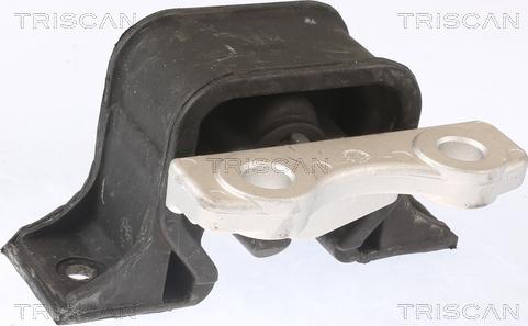 Triscan 8505 24106 - Окачване, двигател vvparts.bg