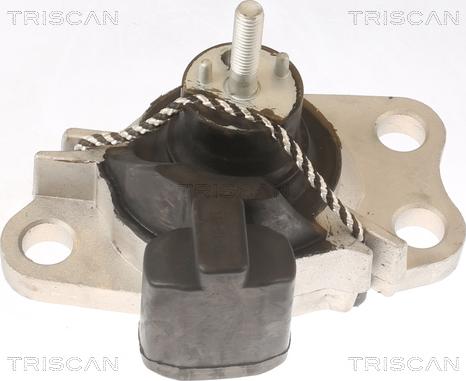 Triscan 8505 25100 - Окачване, двигател vvparts.bg