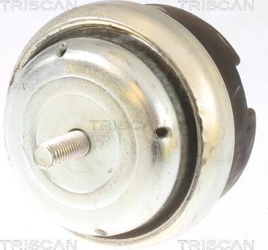 Triscan 8505 28107 - Окачване, двигател vvparts.bg