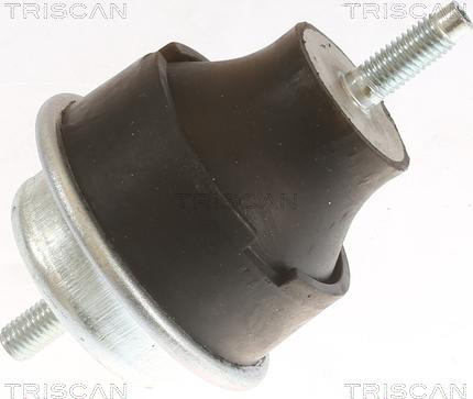 Triscan 8505 28113 - Окачване, двигател vvparts.bg