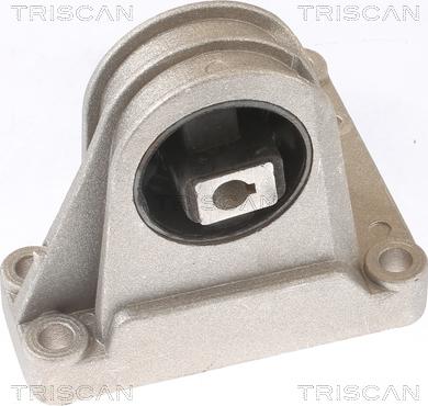 Triscan 8505 27101 - Окачване, двигател vvparts.bg