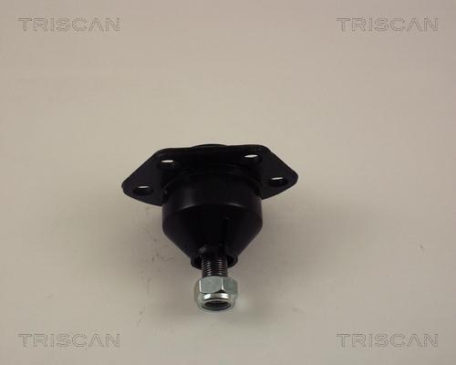 Triscan 8500 10503 - Шарнири vvparts.bg