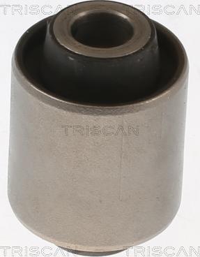 Triscan 8500 10889 - Тампон, носач vvparts.bg