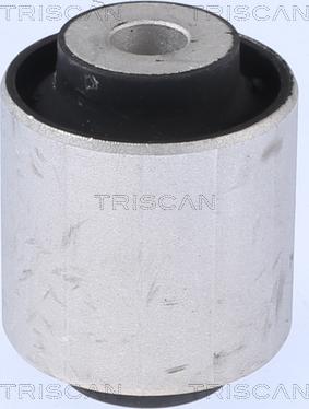 Triscan 8500 118024 - Тампон, носач vvparts.bg