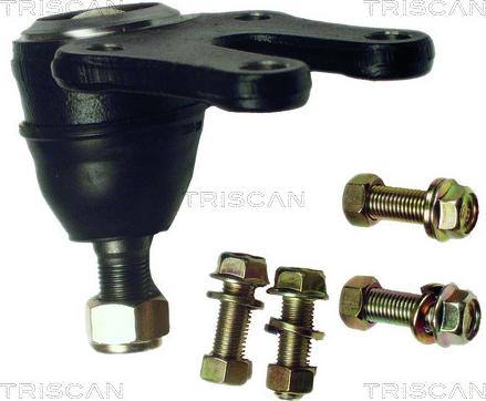 Triscan 8500 13060 - Шарнири vvparts.bg