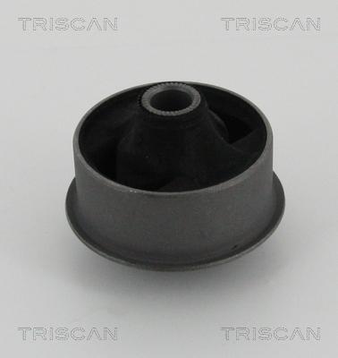 Triscan 8500 13834 - Тампон, носач vvparts.bg