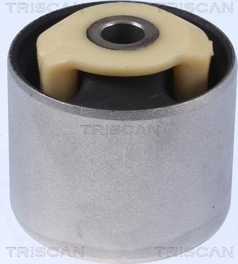 Triscan 8500 17810 - Тампон, носач vvparts.bg