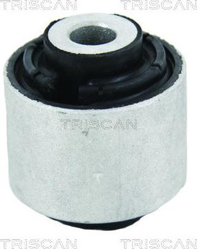 Triscan 8500 29885 - Тампон, носач vvparts.bg