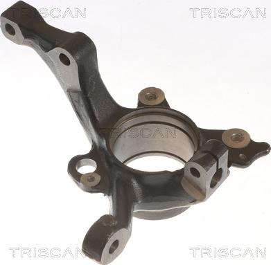 Triscan 8500 29717 - Шенкел, окачване на колелата vvparts.bg