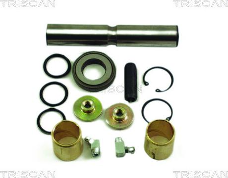 Triscan 8500 2362 - Ремонтен комплект, шенкелни болтове vvparts.bg