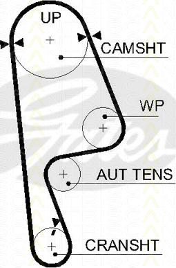 Triscan 8645 5593xs - Ангренажен ремък vvparts.bg