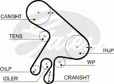 Triscan 8645 5562xs - Ангренажен ремък vvparts.bg