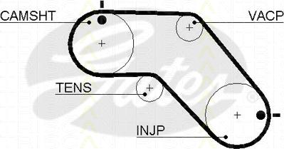 Triscan 8645 5504xs - Ангренажен ремък vvparts.bg