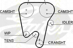 Triscan 8645 5533xs - Ангренажен ремък vvparts.bg