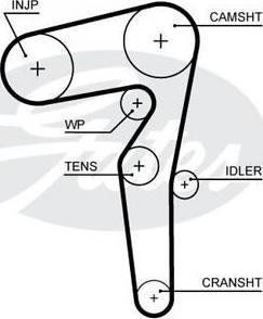 Triscan 8645 5646xs - Ангренажен ремък vvparts.bg