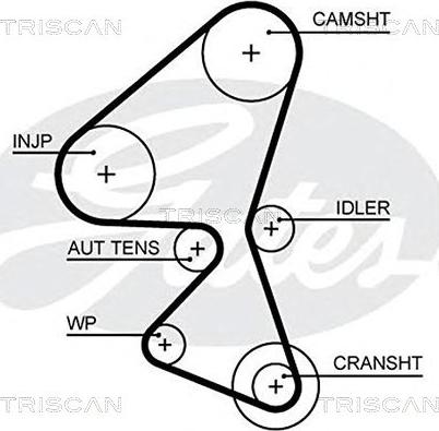 Triscan 8645 5657xs - Ангренажен ремък vvparts.bg
