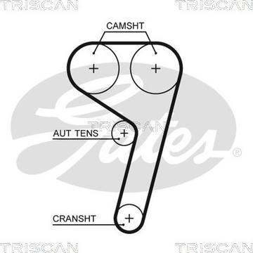 Triscan 8645 5669xs - Ангренажен ремък vvparts.bg