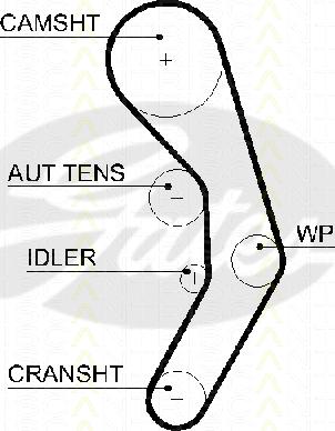 Triscan 8645 5601xs - Ангренажен ремък vvparts.bg