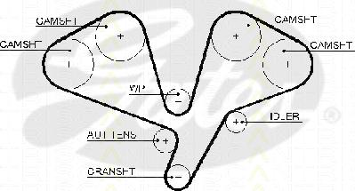 Triscan 8645 5611xs - Ангренажен ремък vvparts.bg