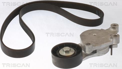 Triscan 8642 16018 - Комплект пистов ремък vvparts.bg