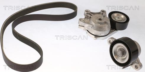 Triscan 8642 10044 - Комплект пистов ремък vvparts.bg