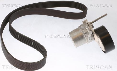 Triscan 8642 29034 - Комплект пистов ремък vvparts.bg