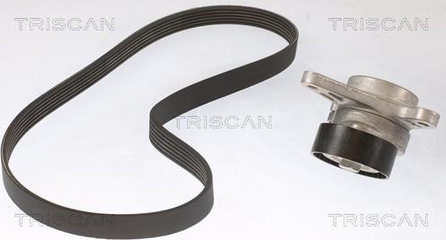 Triscan 8642 29026 - Комплект пистов ремък vvparts.bg