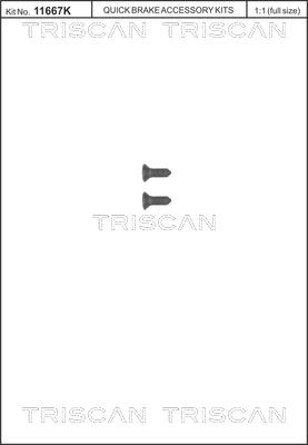 Triscan 8105 116008 - К-кт болтове, спирачен диск vvparts.bg