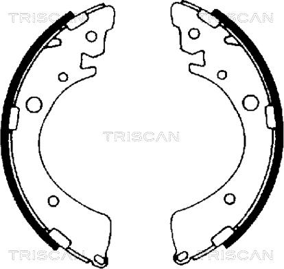 Triscan 8100 40441 - Комплект спирачна челюст vvparts.bg