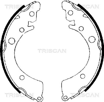 Triscan 8100 40402 - Комплект спирачна челюст vvparts.bg