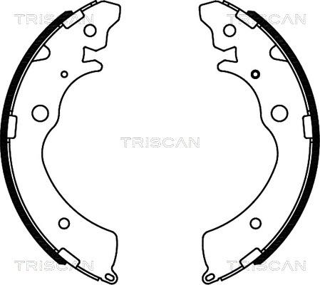 Triscan 8100 40508 - Комплект спирачна челюст vvparts.bg