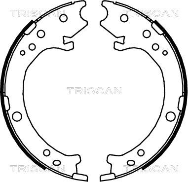 Triscan 8100 40007 - Комплект спирачна челюст vvparts.bg