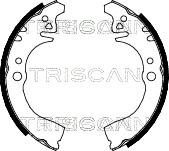 Triscan 8100 41497 - Комплект спирачна челюст vvparts.bg