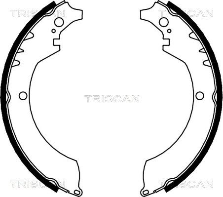 Triscan 8100 41419 - Комплект спирачна челюст vvparts.bg