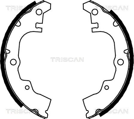 Triscan 8100 41414 - Комплект спирачна челюст vvparts.bg