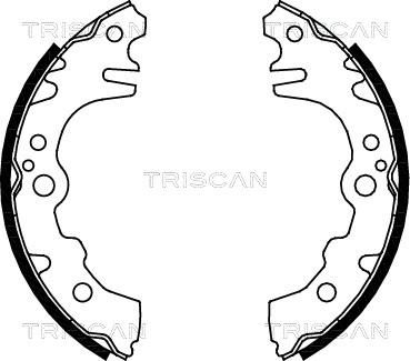 Triscan 8100 41619 - Комплект спирачна челюст vvparts.bg