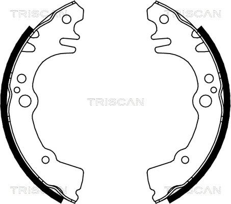 Triscan 8100 41616 - Комплект спирачна челюст vvparts.bg