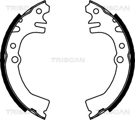 Triscan 8100 41613 - Комплект спирачна челюст vvparts.bg