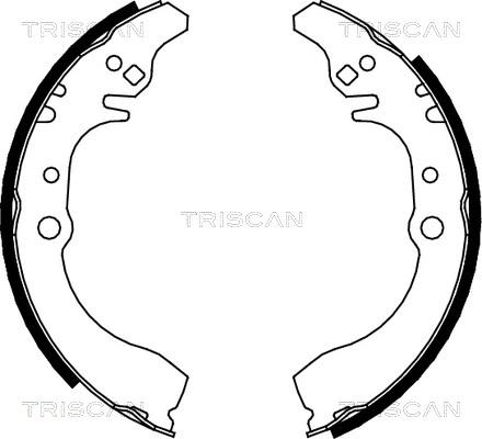 Triscan 8100 41617 - Комплект спирачна челюст vvparts.bg