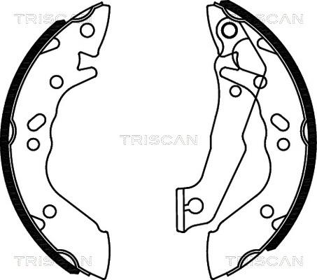 Triscan 8100 43560 - Комплект спирачна челюст vvparts.bg