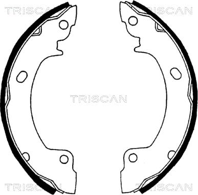 Triscan 8100 43529 - Комплект спирачна челюст vvparts.bg