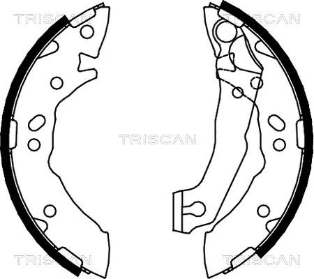Triscan 8100 43621 - Комплект спирачна челюст vvparts.bg