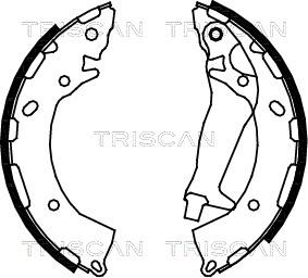 Triscan 8100 43014 - Комплект спирачна челюст vvparts.bg