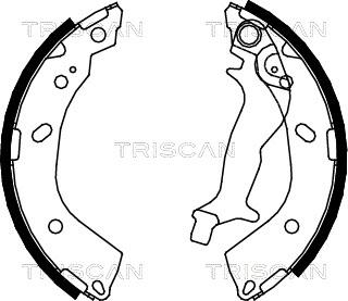 Triscan 8100 43018 - Комплект спирачна челюст vvparts.bg
