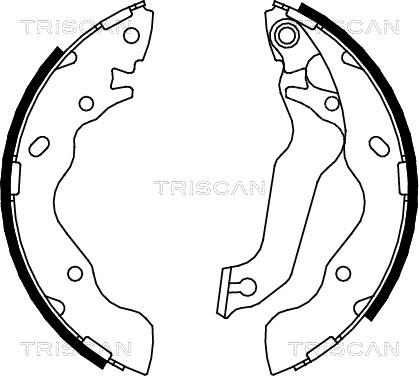 Triscan 8100 43013 - Комплект спирачна челюст vvparts.bg