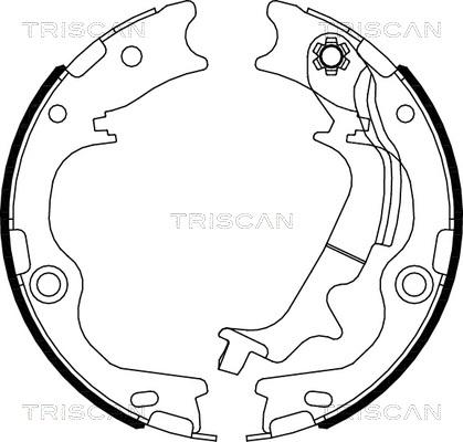 Triscan 8100 43029 - Комплект спирачна челюст, ръчна спирачка vvparts.bg