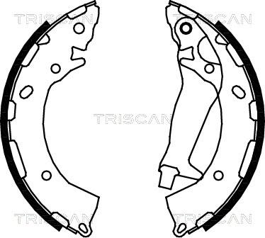 Triscan 8100 43024 - Комплект спирачна челюст vvparts.bg